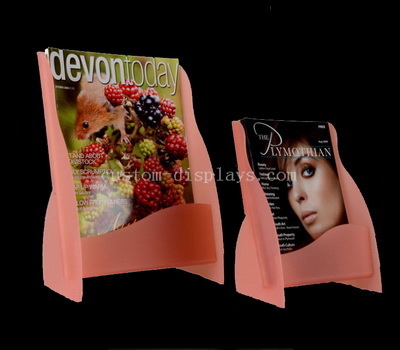 Flyer display stand