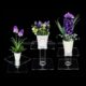 COT-229-1 Custom clear acrylic plant stands