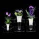 COT-229-1 Supports pour plantes en acrylique transparent sur mesure